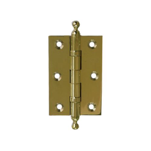 Brass Hinges